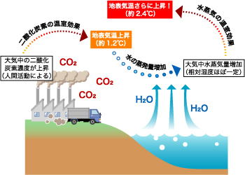 二酸化炭素の増加による温暖化と、それに伴う大気中の水蒸気量増加がもたらす効果